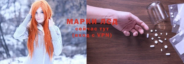 стаф Белокуриха
