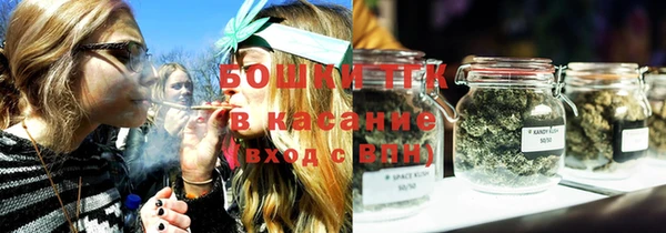 стаф Белокуриха