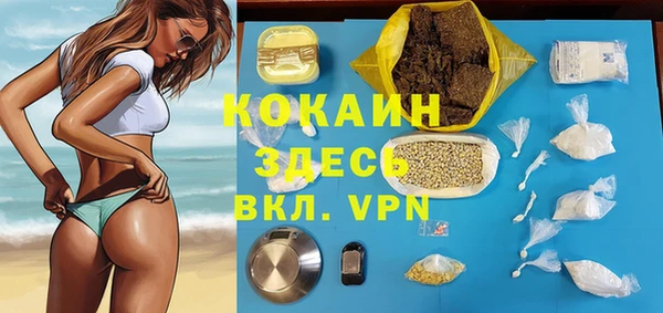 стаф Белокуриха